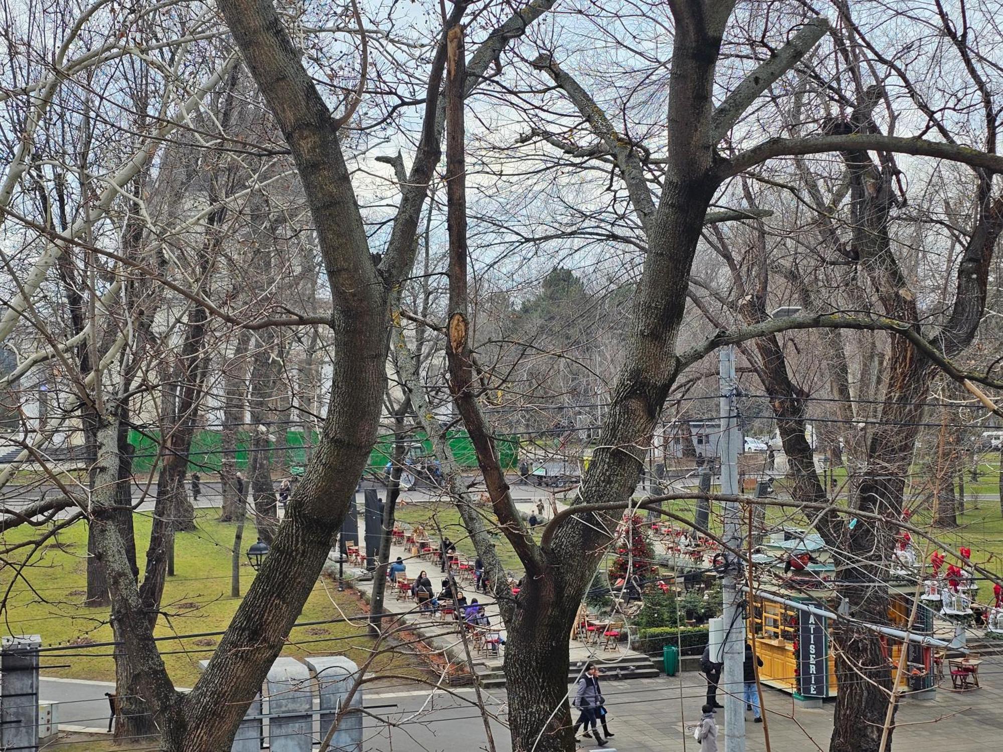 Cathedral Park&Pedestrian Zone Apartment! Chişinau Exteriör bild